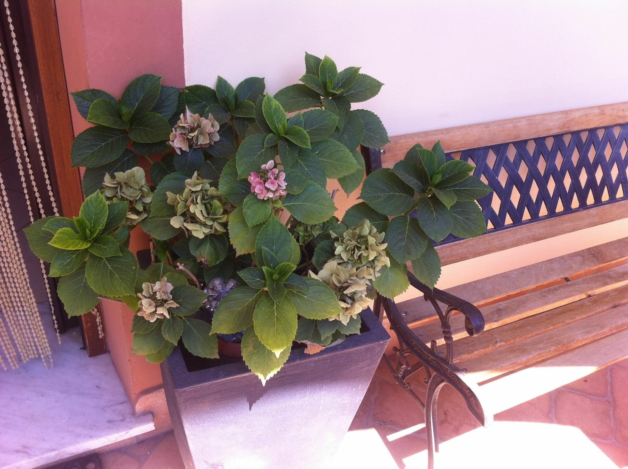 Nataly'S House Bed&Breakfast La Massimina-Casal Lumbroso Exterior foto